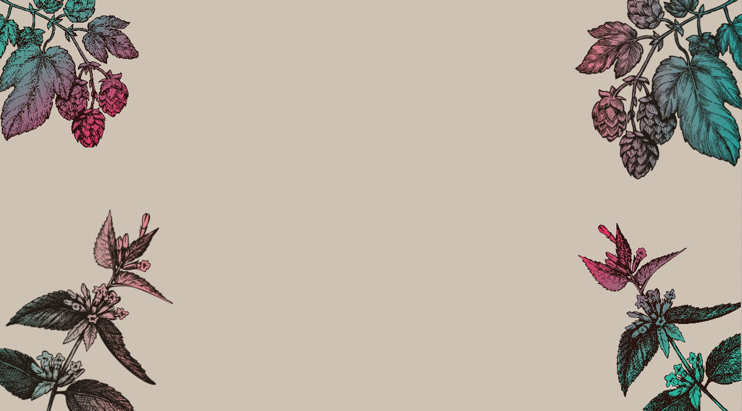 Image of sketched lemonbalm and hops on a beige background